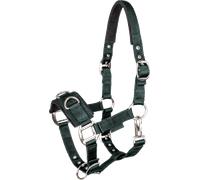 Waldhausen Licol de Longe Economic, Vert Sapin - Sang chaud