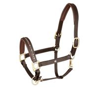 WALDHAUSEN Licol en cuir Crystal, marron/doré, poney