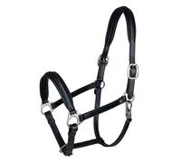 WALDHAUSEN Licol en cuir S-Line Classy, noir, pour demi-sang