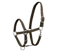 WALDHAUSEN Licol en perlon VB - En satin - Marron vert