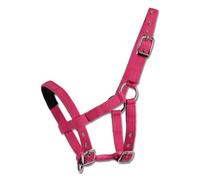 WALDHAUSEN Mini-Shetty Halfter, azalee, azalee