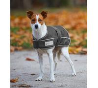 Waldhausen Outdoor Comfort Line 200g Veste pour chien Gris 55 cm Gris 55 cm