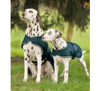 WALDHAUSEN Tapis de pluie pour chien Vert sapin 55 cm