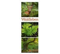 Waldleben Triplet-Kalender 2027 | Spaziergang durch heimische Wälder: Beruhigender Natur-Kalender im schlanken Hochformat (24x66 cm) | Triplet-Fotos