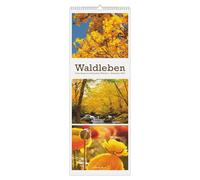 Waldleben - Triplets 2027: Streifenkalender 25x69 cm mit 3 Waldmotiven pro Monat, Hochformat und Spiralbindung