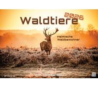 Waldtiere - Heimische Waldbewohner - Der Tierkalender - 2026 - Kalender DIN A3: Der Wandkalender mit den schönsten Waldtier-Motiven für das Jahr 2026 im Format DIN A3 (ca. 42 x 30 cm)!