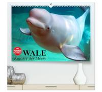 Wale. Kolosse der Meere (hochwertiger Premium Wandkalender 2026 DIN A2 quer), Kunstdruck in Hochglanz: Die geheimnisvollen Riesen der Meere