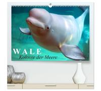 Wale - Kolosse der Meere (hochwertiger Premium Wandkalender 2026 DIN A2 quer), Kunstdruck in Hochglanz: Die geheimnisvollen Riesen der Meere