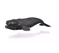 Collecta Figurine Baleine Droite