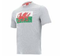 Wales WRU macron Rugby Hommes T-shirt 58195704 M