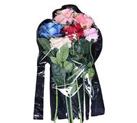 Walfront Ballons Bobo Transparents 10 Pièces, Matériau PVC, Conception à Large Bouche, Parfaits pour les Décorations de Fête d'anniversaire, de Mariage