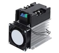 Walfront Contrôleur de Démarrage Progressif 220VAC pour Moteur Monophasé/2 Phases, Fond en Aluminium, Fréquence 50-60Hz (Module + Radiator)