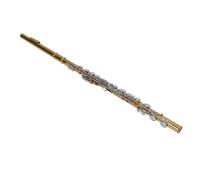 Walfront Instrument de Flûte en C à 16 Touches, Flûte à 16 Touches, Corps en Laiton à Trou fermé, Ton Brillant avec étui de Transport, Tige D'accordage, Support en Tissu, pour