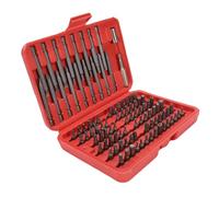 Walfront Jeu d'embouts à Fente Croisée, Acier CRV 79 Pièces, étui de Rangement Robuste, Trousse à Outils Multifonctionnelle pour les Réparations Domestiques et l'électronique