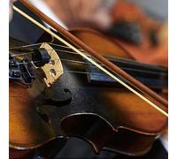 Walfront Kit d'accessoires en Tissu de Nettoyage pour Cordes de Violon 4 en 1, en Caoutchouc, Pont en Bois d'érable Muet, pour Musiciens
