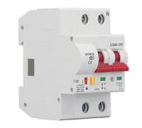 Walfront Smart Circuit Breaker Switch 2P 100A WiFi Remote Control avec 6000V Haute Tension avec un Panneau électrique Compatible Application (220V)