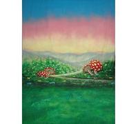 Walimex Fond en tissu pro à motif ‘Alice’, 3x6 m