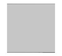 Walimex Pro 19928 Filtre Gris 100 x 100 mm