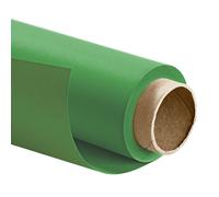 Walimex pro Papier Fond Studio - 1,35 x 10 m Vert - Fond Photo Papier - 160 g/m² - Toile de fond Sans reflets - Haute résistance - Accessoires de Photographie Shooting YouTube Créateur de contenus