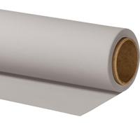 Walimex pro Papier Fond Studio - 2,72x10 m Gris clair - Fond Photo Papier - 160 g/m² - Toile fond Sans reflets - Rouleau haute résistance - Accessoire Photographie Shooting YouTube Créateur contenus