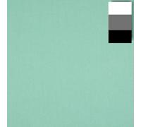 Walimex Tissu de Fond pour Studio Photo/Vidéo 2,85 x 6 m Menthe Clair