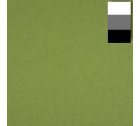 Walimex Fond en tissu 2,85x6m, vert olive