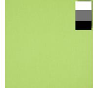 Walimex Tissu de Fond pour Studio Photo/Vidéo 2,85 x 6 m Vert Clair