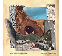 Dave Matthews Band Walk Around the Moon (Vinyl) 12" Album