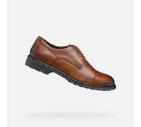 Chaussures à lacets Geox U WALK PLEASURE F 1 pour Homme 45 Marron