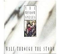 Walk through the storm (1987) / Vinyl single [Vinyl-Single 7'']