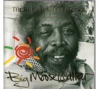 Walker, Big Moose - Big Moose Walker