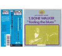 Walker, T-Bone - Feeling The Blues