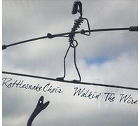 Walkin The Wire