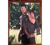 Walking Dead - 31x40 cm - AFFICHE / POSTER G
