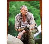 Walking Dead - 31x40 cm - AFFICHE / POSTER G