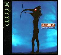 Walking in My Shoes [Import]