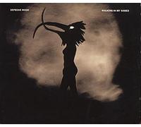 Walking in My Shoes [Import]