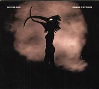 Walking in My Shoes [Import]