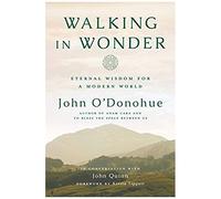 Walking In Wonder
