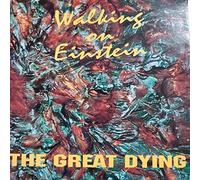 Walking on Einstein - Dying