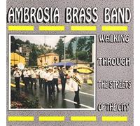 Walking Through The Streets Of The City