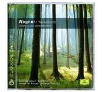 Wagner, R. - Walkurenritt [Import]
