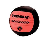 Wall Ball 8 Kilos