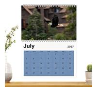 Wall Calendar 2027 Romantic 12 - Month Hangable Bald Eagle Planner Wall for | Wall Birds Decor Planner for Home Office School Reading | Study Task Exercise Workout Vacation Party Birthday Wall Calendar