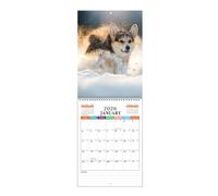 Wall Calendar, Monthly Planner, 11.22x8.46 Inches, Wall Date Organizer, Scene Schedule Tracker, Decorative Visual Reminder for Apartment, Home, School, Bedroom, Dorm, Classroom