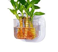 Wall Fish Tank, Small Wall Mounted Aquarium, Decorative Compact Fish Bowl, Transparent Acrylic Design, Space Saving Hanging Pot, 1 Piece, for Bedroom, Kitchen, Offices, Dorm