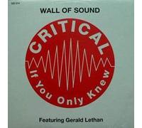 Wall of Sound - Critical [Vinyl Maxi-Single]