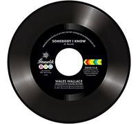 Wallace,Wales - Someday I Know/Let Me Come Back [Import]