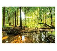 WallArena Papier Peint Foret Intissé Soleil Arbres Toison Paysage Chambre Salon Photo Non Tissé Résistant Aux UV Inodore Haute Résolution Prêt pour le montage (10513, V8 (368x254 cm) 4 lés)