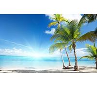 WallArena | Papier Peint intissé 130 g/m² | | | de Plage ensoleillée 20046 _ Ve-aw | Nature Palms Beach d'eau de mer de Sable Sky Horizon, Blue,Green,White, VEXXL (312cm. x 219cm.)